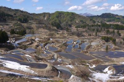 星峠の棚田