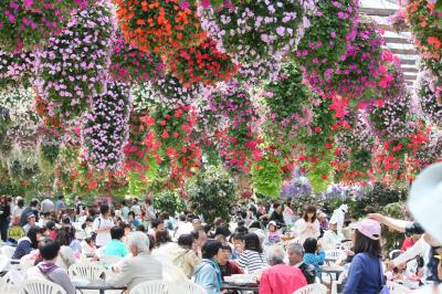 GW　５月３日　掛川花鳥園