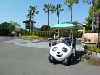 2013.こっちゃん11歳のお誕生日は和歌山!!~初☆アドベンチャーワールド ⑤ ~