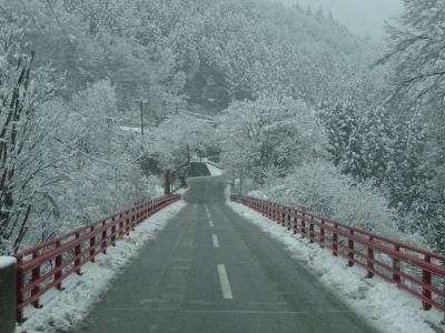 桜を見に長野へ行ったら・・・雪だった