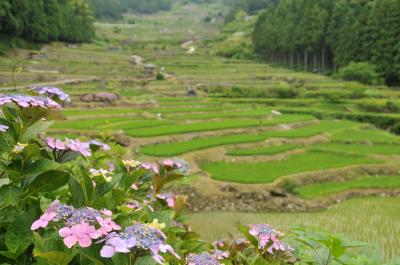 鳳来町　四谷千枚田