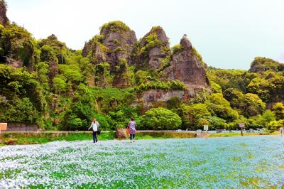 風薫る耶馬渓