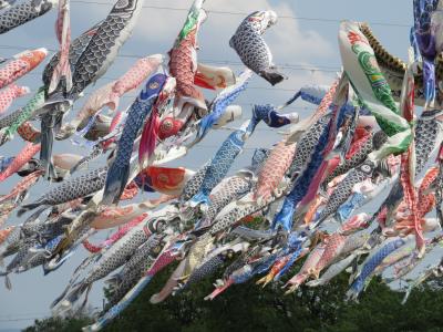 五月の空に泳ぐ1200匹の鯉のぼり