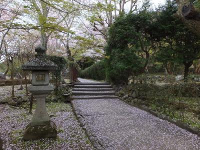 ２０１３京都桜紀行～嵐山～