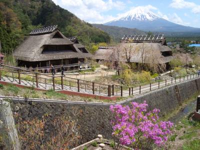 西湖　癒しの里　根場から富士の絶景