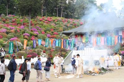 2013年　5月　入船観音寺の大祭、始めて見る「火渡り」と2万株のつつじの絶景