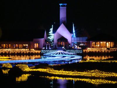 なばなの里 ウインターイルミネーション冬華の競演 2013年3月 その②