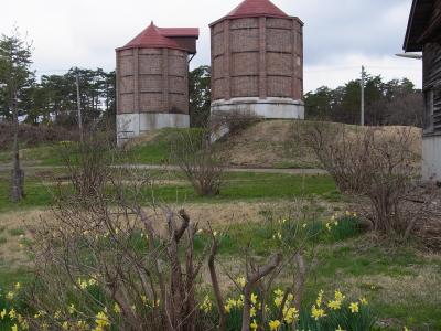 【2013.5.1～5.4】★岩手で遊ぶ・食べる・考える★1日目：牛たちに会って、夜桜に逢う。