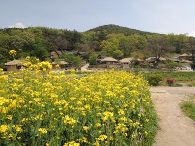 2013年GW韓国南部の旅・慶州 編