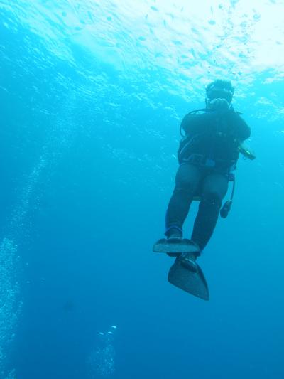 沖縄ダイビング（恩納村のお店）