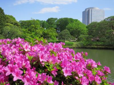 2013年5月　六義園