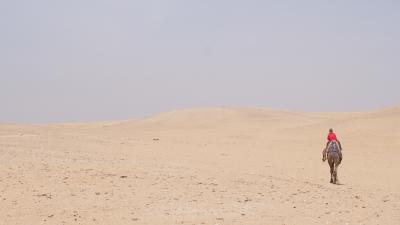 エジプト&トルコ15日間の旅　[13]　4/25（木）