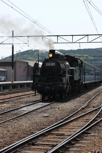 GW自然に癒される旅