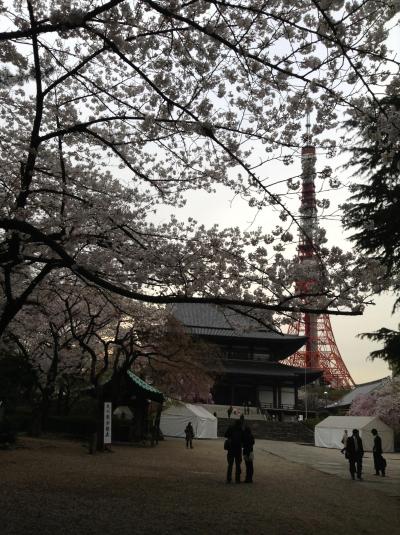 桜の増上寺をくるっとまわるだけのプチ東京見物