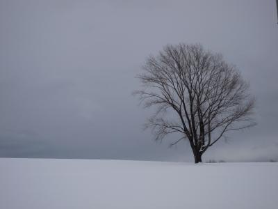 はじめての冬の北海道