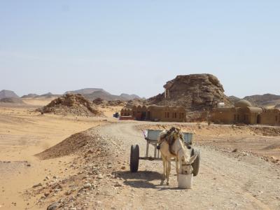 2013年2月再訪・エジプト縦断３ナセル湖クルーズ