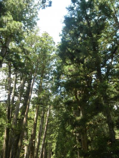 ぶらり高野山