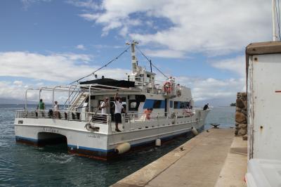 渓谷の島とWhale watching（２）