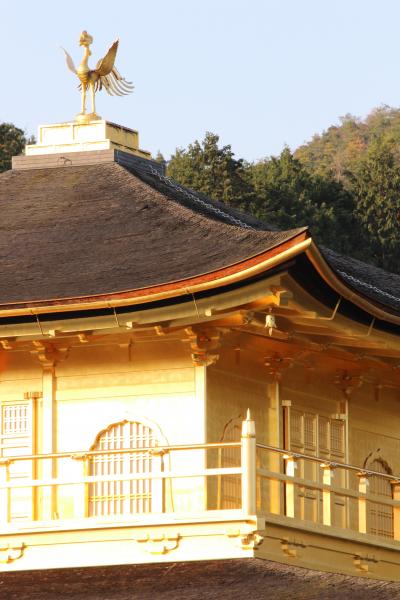 ④ 京都ぶらり旅 ^m^ 【銀閣寺~金閣寺編】