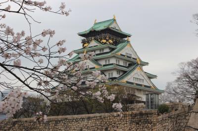 桜舞う大阪城公園~2013