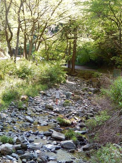 初めての二本木峠・皇鈴山ハイキング④日本水取水場～日本の里～風のみち歩道～かんぽの宿寄居迄