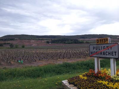 2013GWフランスグルメリポート・ブルゴーニュ編