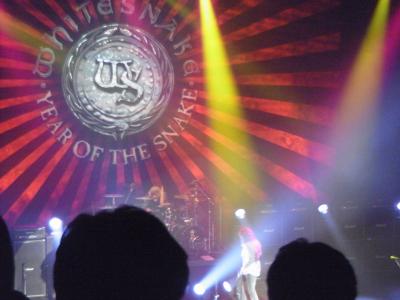 これって愛かしらvホワイトスネイクmeets渋谷-AX