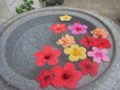 2013年 GW 石垣島