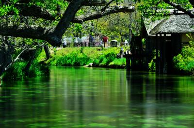 大王わさび農場