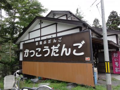 車中泊の旅-2012夏休み関東・東北3280キロ：No.10岩手(厳美渓・中尊寺金色堂)