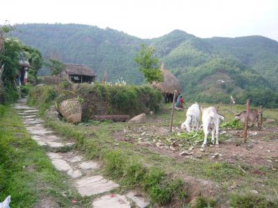 GW後半4連休でネパール(1)　カトマンズ、ポカラを経てダンプスへ