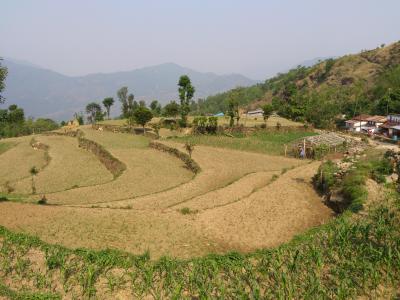 GW後半4連休でネパール(2)　ダンプス～フェディとノーダラ～サランコット～ポカラをトレッキングし、ポカラを観光