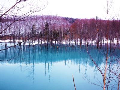 ２０１３　トワイライトで春？の北海道へ・・・②