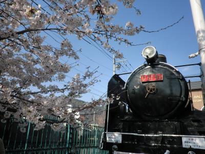 嵐山にてはんなりお花見