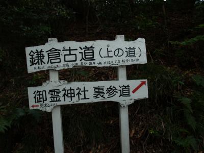 鎌倉古道（上の道）と兜松（藤沢市宮前）