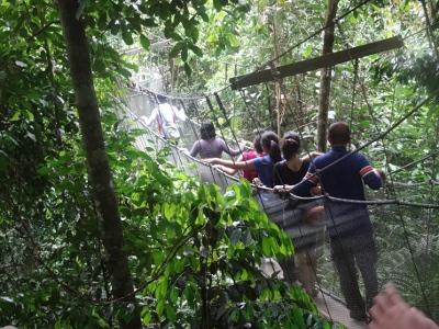 キナバル山日帰りトレック、やれんのか! ②キナバル公園散策編 (ポーリン温泉、フィッシュ・スパ、ラフレシア)