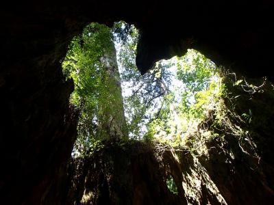 屋久島の旅　～～もののけの森、縄文杉、宮之浦岳、、、etc～～