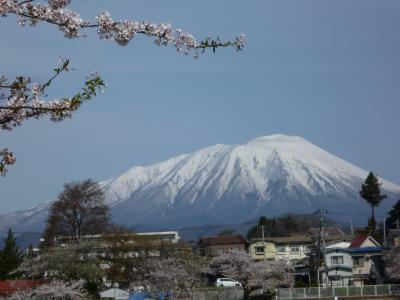 みちのく盛岡の桜