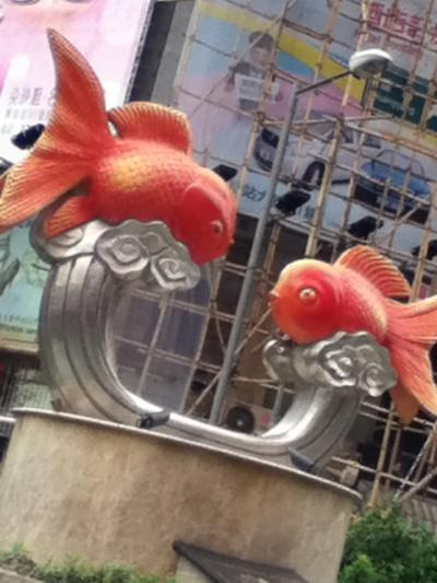 今年も香港です。