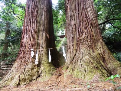 11-3:神奈川～南足柄の山奥にも素敵な所があるんです＾＾