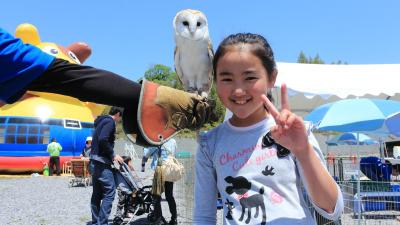 フクロウのフライトショー ｉｎ 陽なたの丘イベント