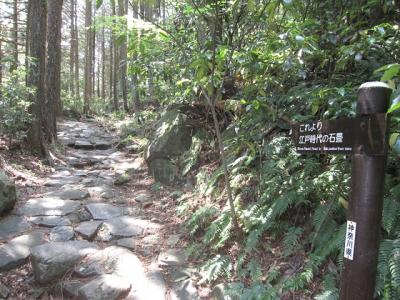 箱根旧街道（旧東海道）ウォーク（改訂）