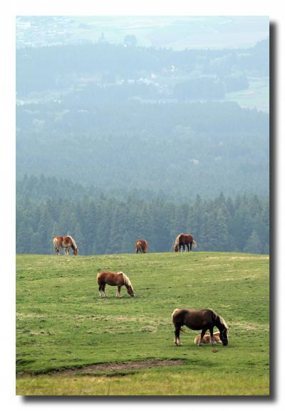 Solitary Journey ［1194］ 雄大な阿蘇の景色の中を36年前の記憶を確かめながら走る。＜池山水源＆阿蘇パノラマライン＞熊本県阿蘇市