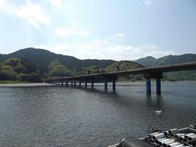 遅咲きのヒマワリのロケ地巡りと道後温泉散歩《１日目》♪withワンコ