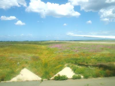 美しい多様な自然とお花の5月のモロッコ