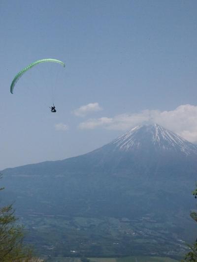 ツツジの咲く頃、長者ヶ岳に登ってみました。