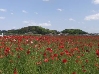 新美南吉のふるさと半田を訪ねる