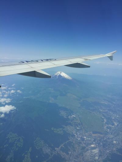 ANA3823便　東京／羽田→大阪／関西　スターフライヤーとのコードシェア便