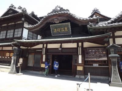 遅咲きのヒマワリのロケ地巡りと道後温泉散歩《2日目》♪withワンコ