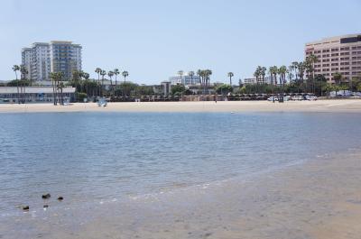 Marina del Rey編　眩しい太陽に追いかけられて Santa Monica 2013 ①